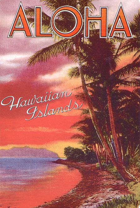 tube Retro aloha