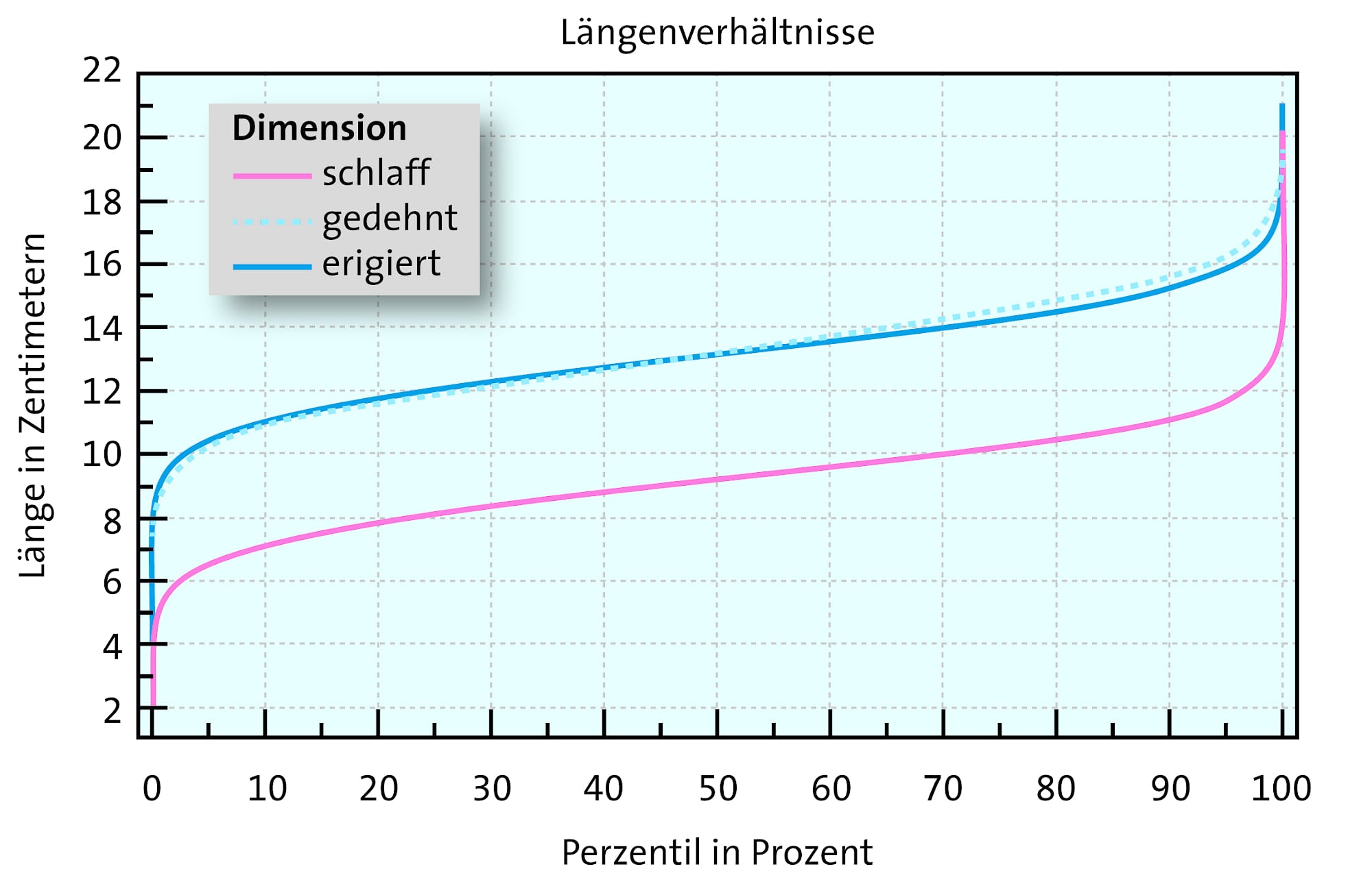 ein wächst penis lange Wie