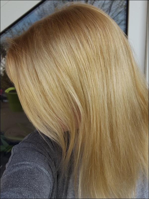 Garnier nutrisse blondtöne