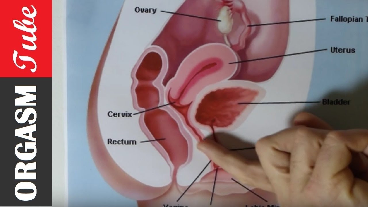 Sperma in der öffentlichkeit