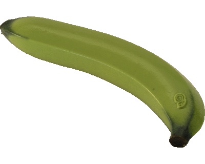 silikon Dildo aus