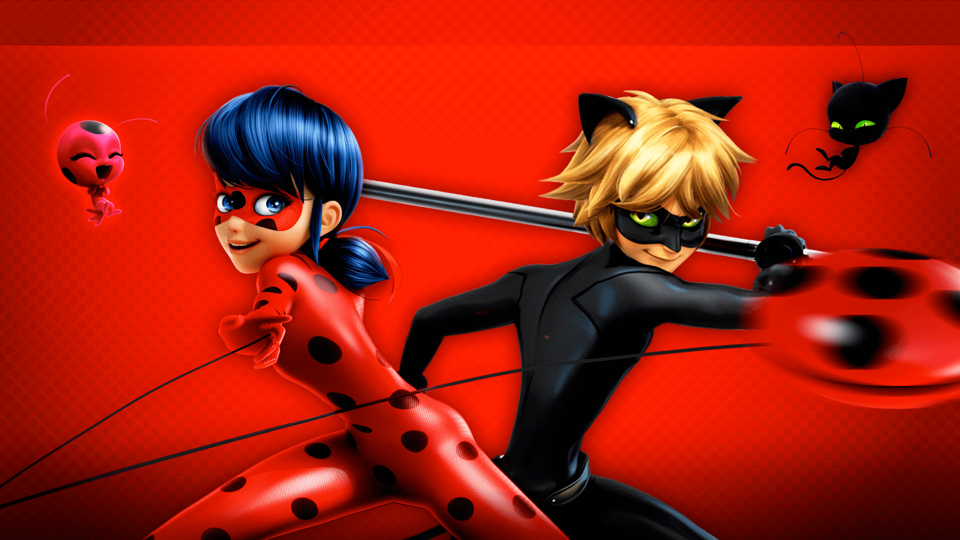 cat noir Ladybug