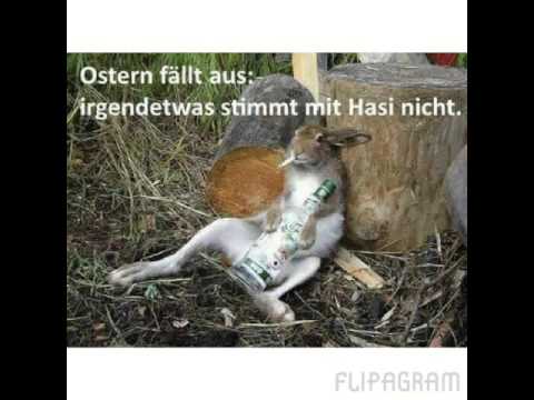 lustige bilder Coole