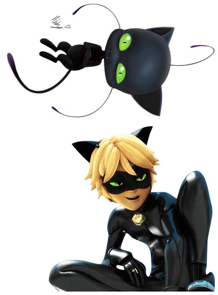 cat noir Ladybug