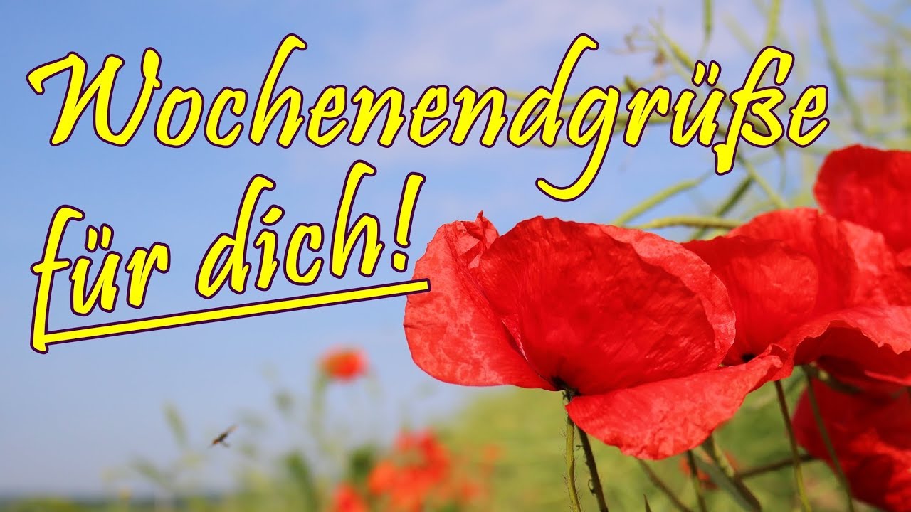 Schöne wochenend bilder