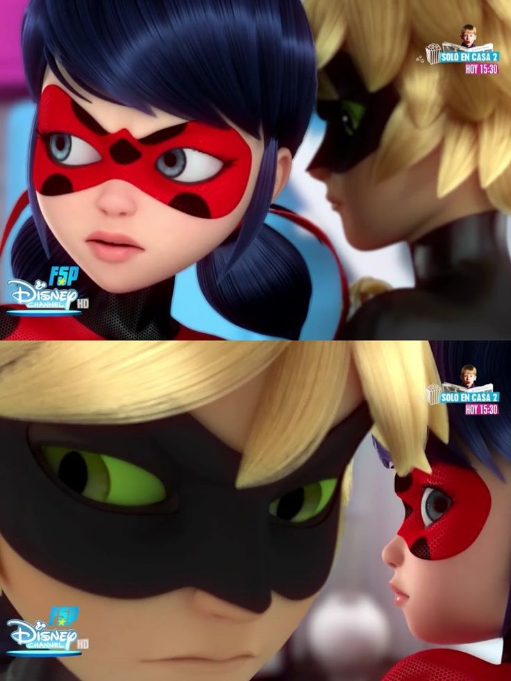 cat noir Ladybug