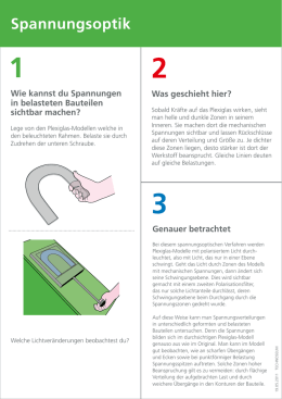 Zwei schwänze in muschi