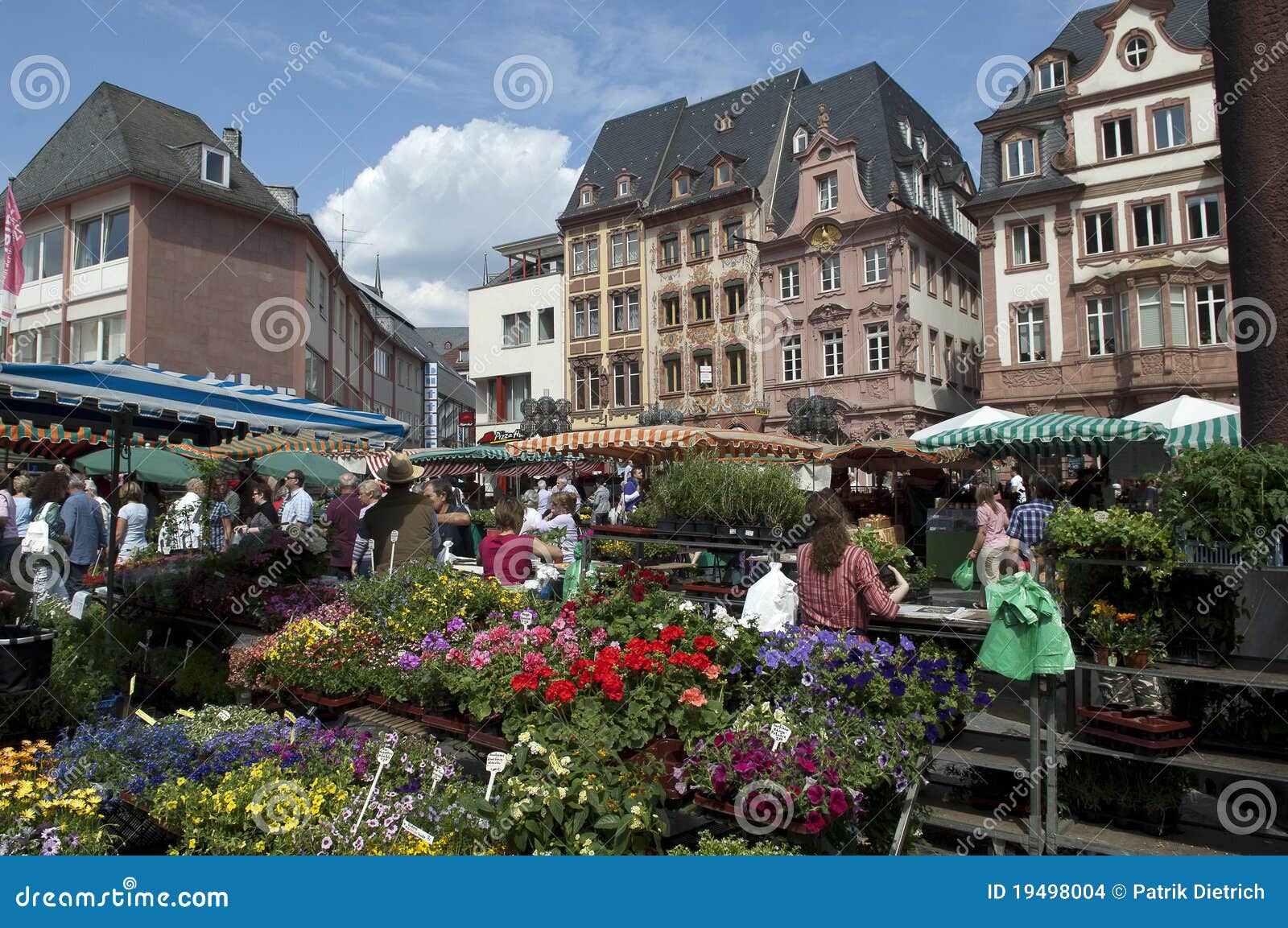 mainz Gay markt