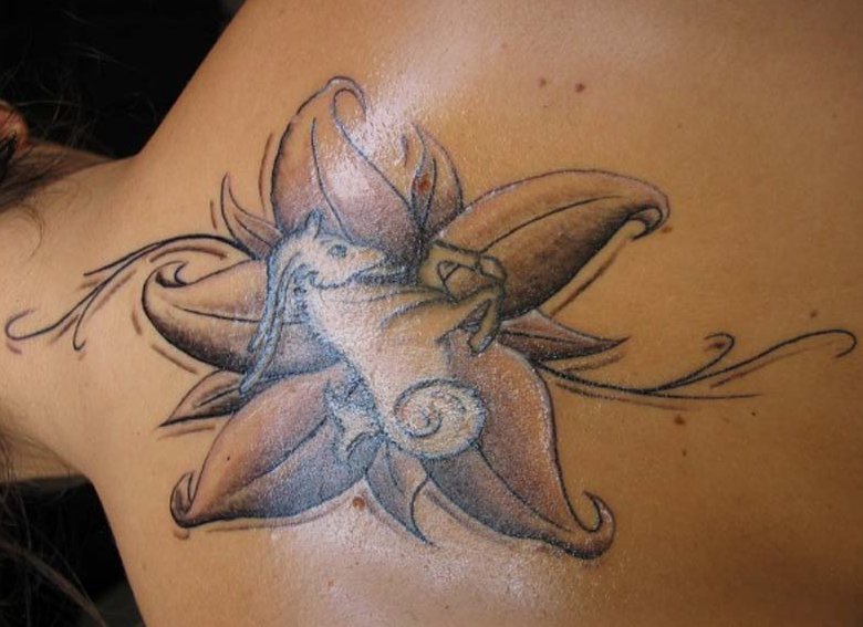 motive Steinbock tattoo