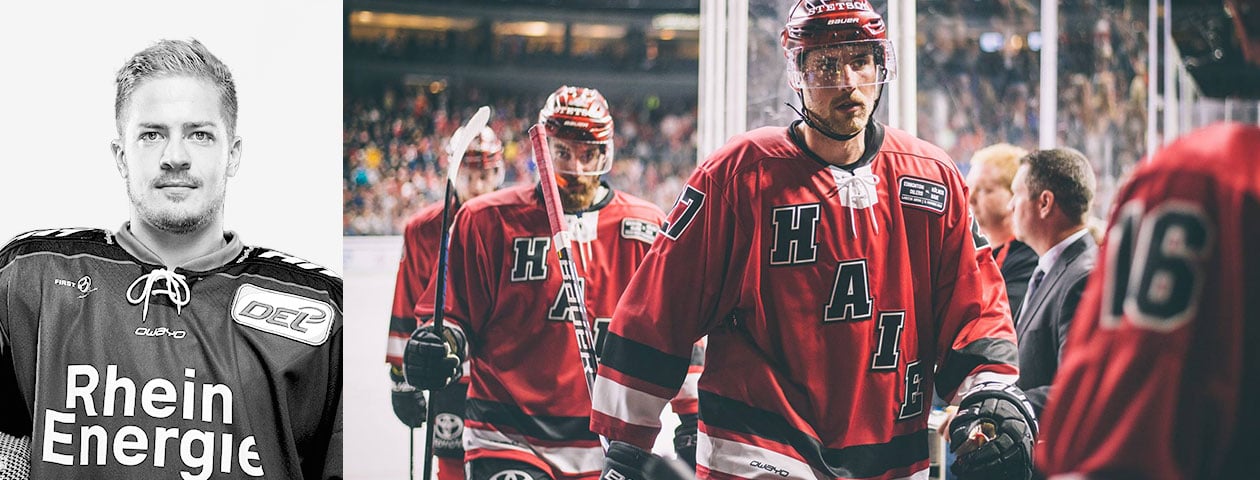 forum Kölner haie