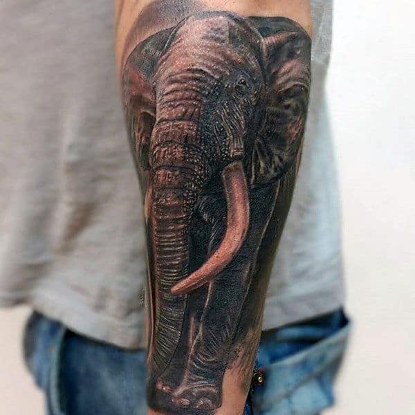 tattoo elefant Intim