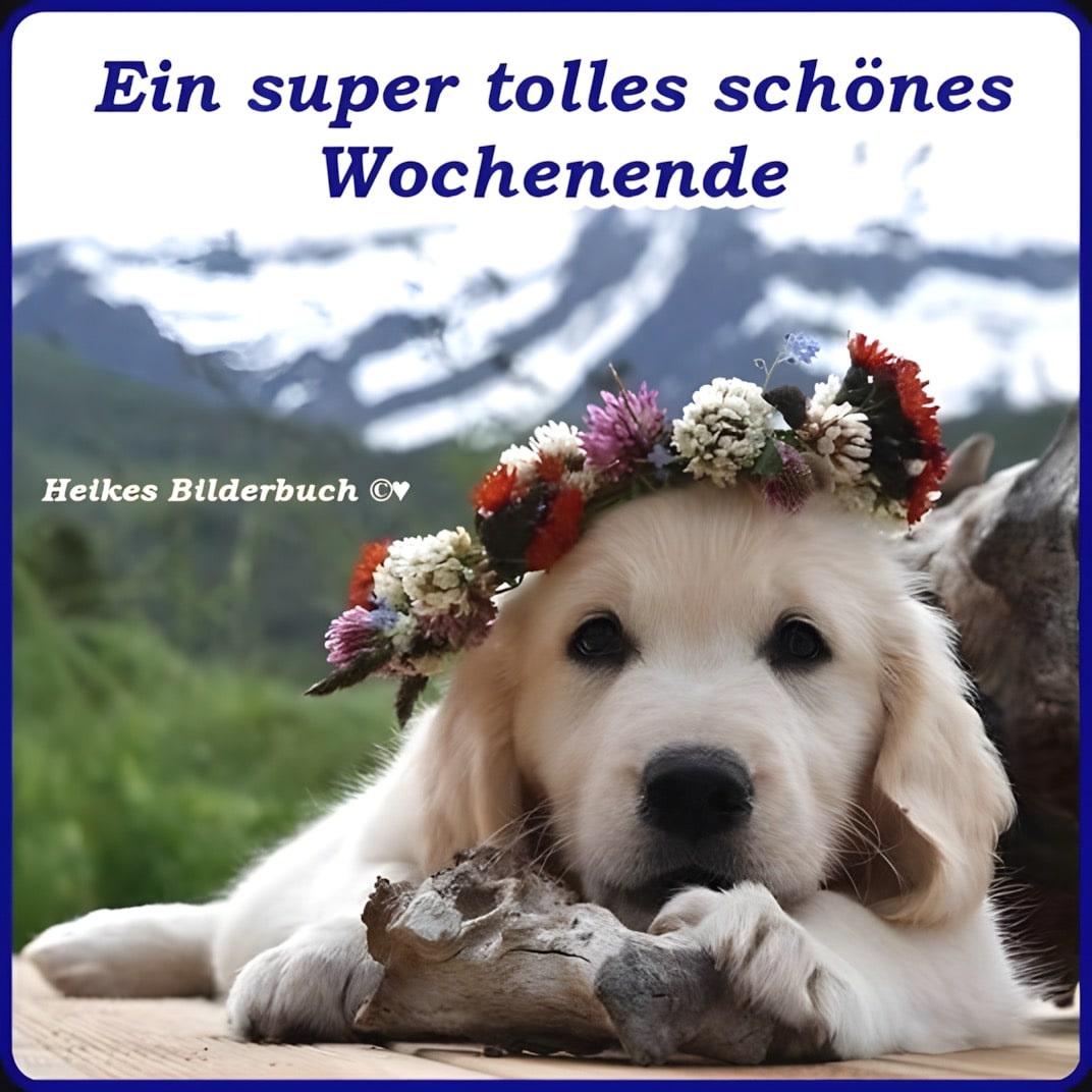 bilder Geiles wochenende