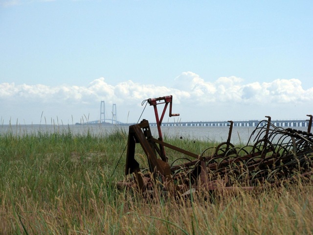 den arsch in Trocken