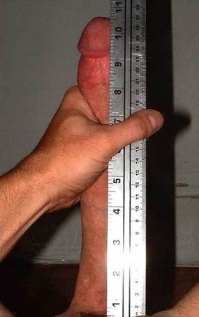 9 inch dick