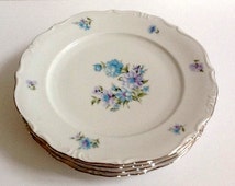 platinum Bavaria vintage winterling china schwarzenbach