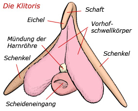 Deutschland Porn Tube Penis geht nicht rein