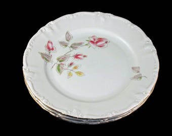 Bavaria schwarzenbach winterling china platinum vintage