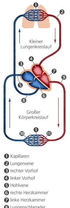 Hosen für kräftige jungs