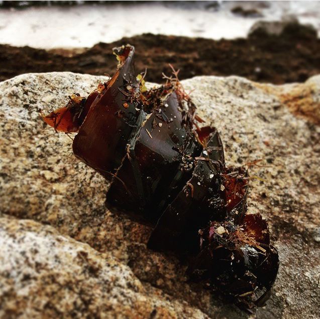 Sex-Fotos Galerien Dicke menschen am strand