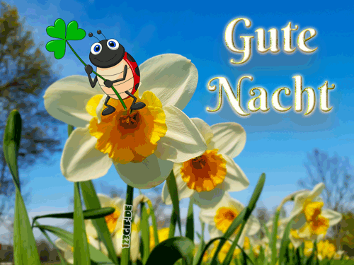 gifs kostenlos nacht Animierte gute