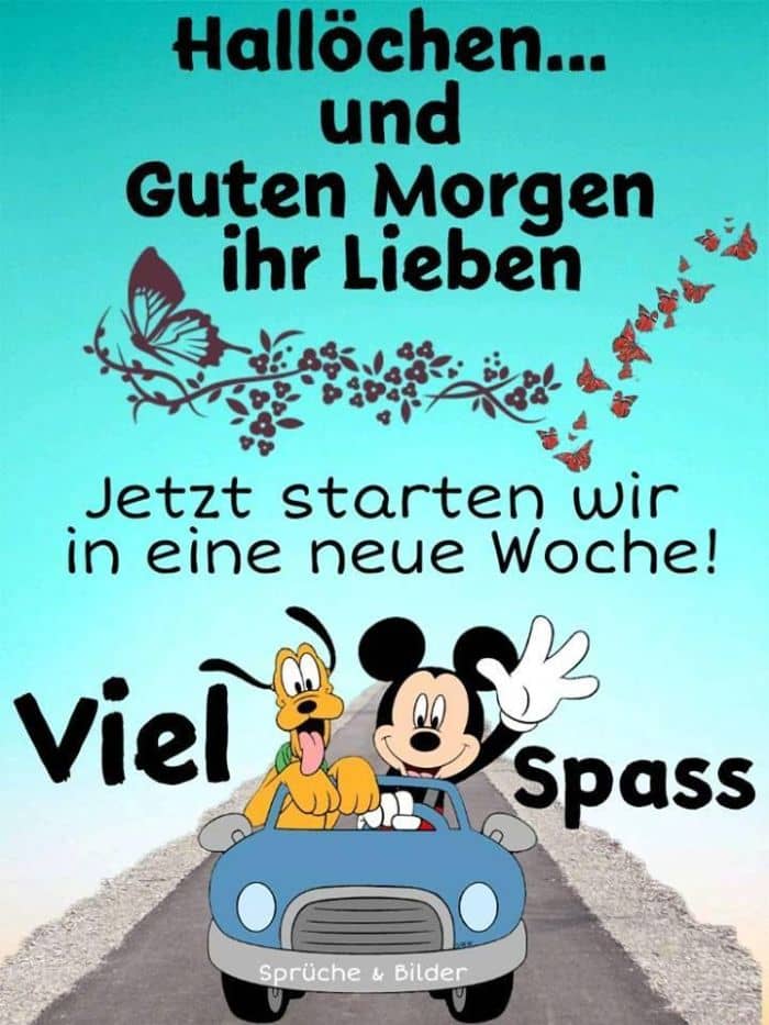 morgen guten bilder wunderschönen Einen