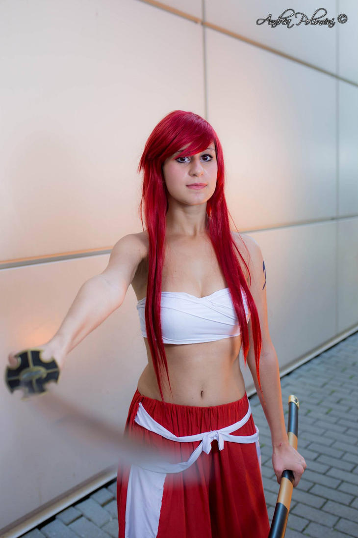 tail erza Fairy cosplay