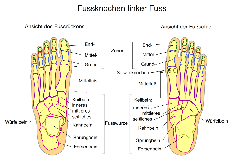 bilder kostenlos Füße