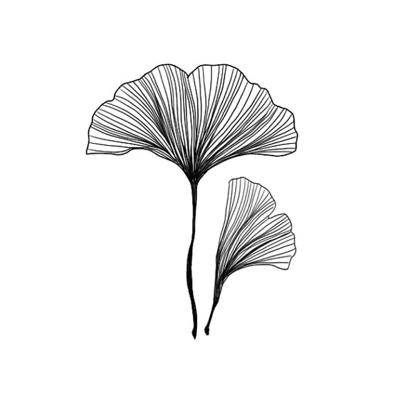 blatt tattoo Ginkgo