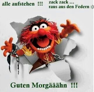 bildet Guten morgen