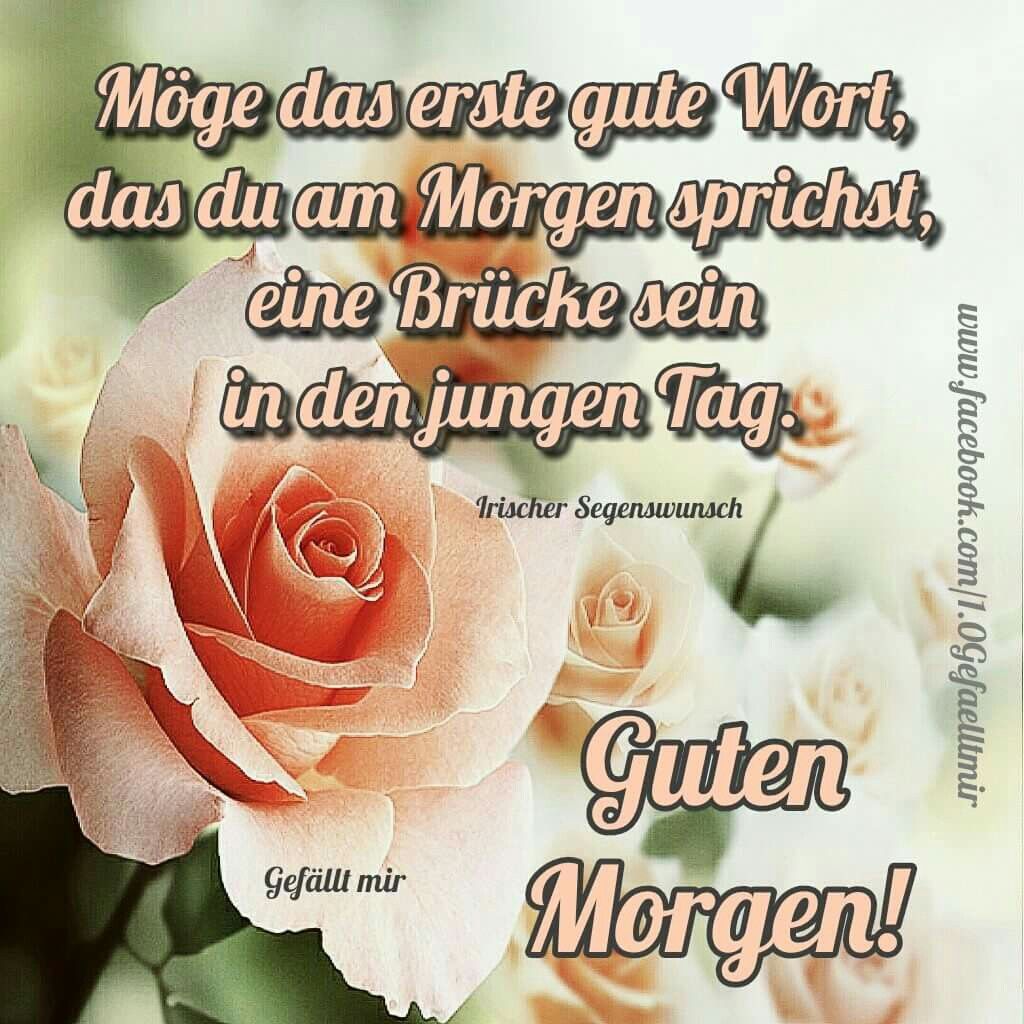 schönes bilder morgen Guten wochenende