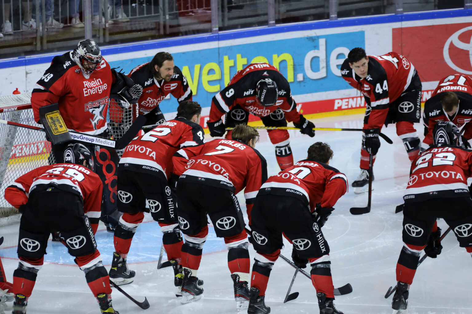 forum Kölner haie