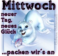 morgen bilder Mittwoch