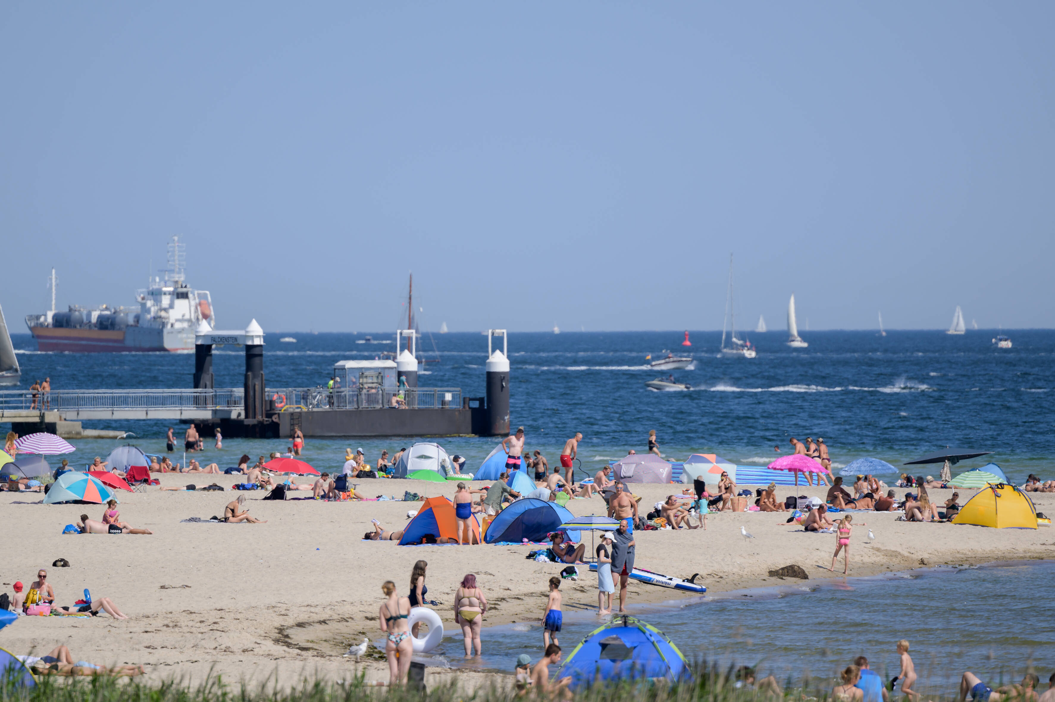 holstein Nutten in schleswig