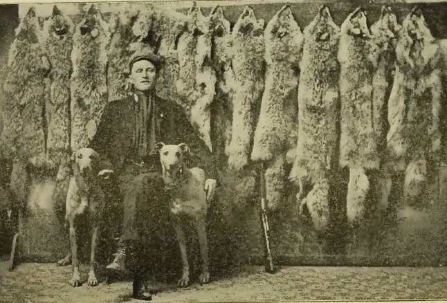 Vintage beaver hunt