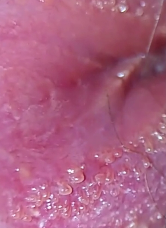 up close Virgin pussy